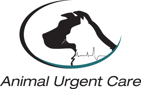 Emergency Vet in Escondido, CA | Animal 