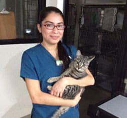 Animal Urgent Care staff, Escondido, CA
