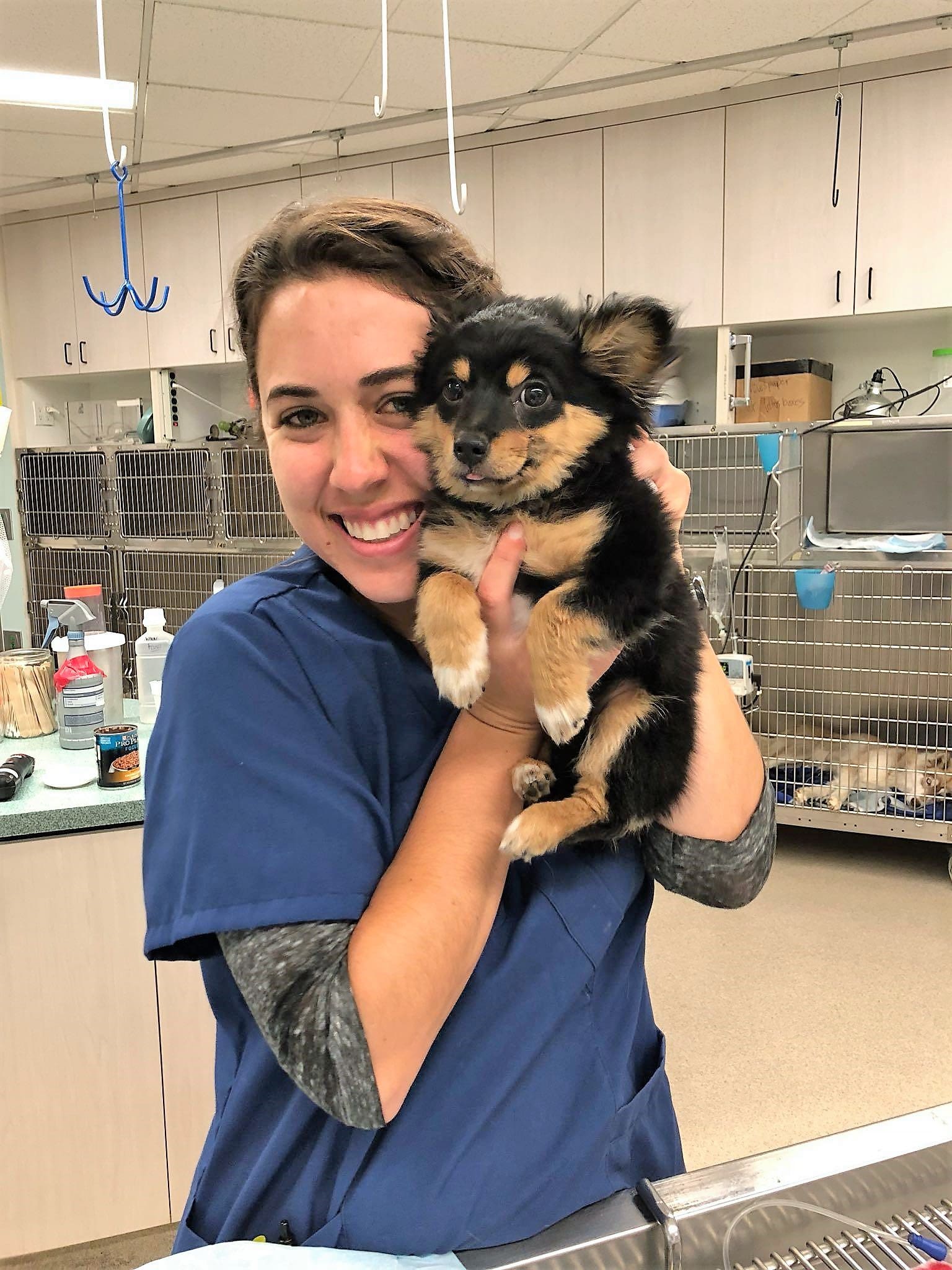 Animal Urgent Care nursing staff holding a puppy