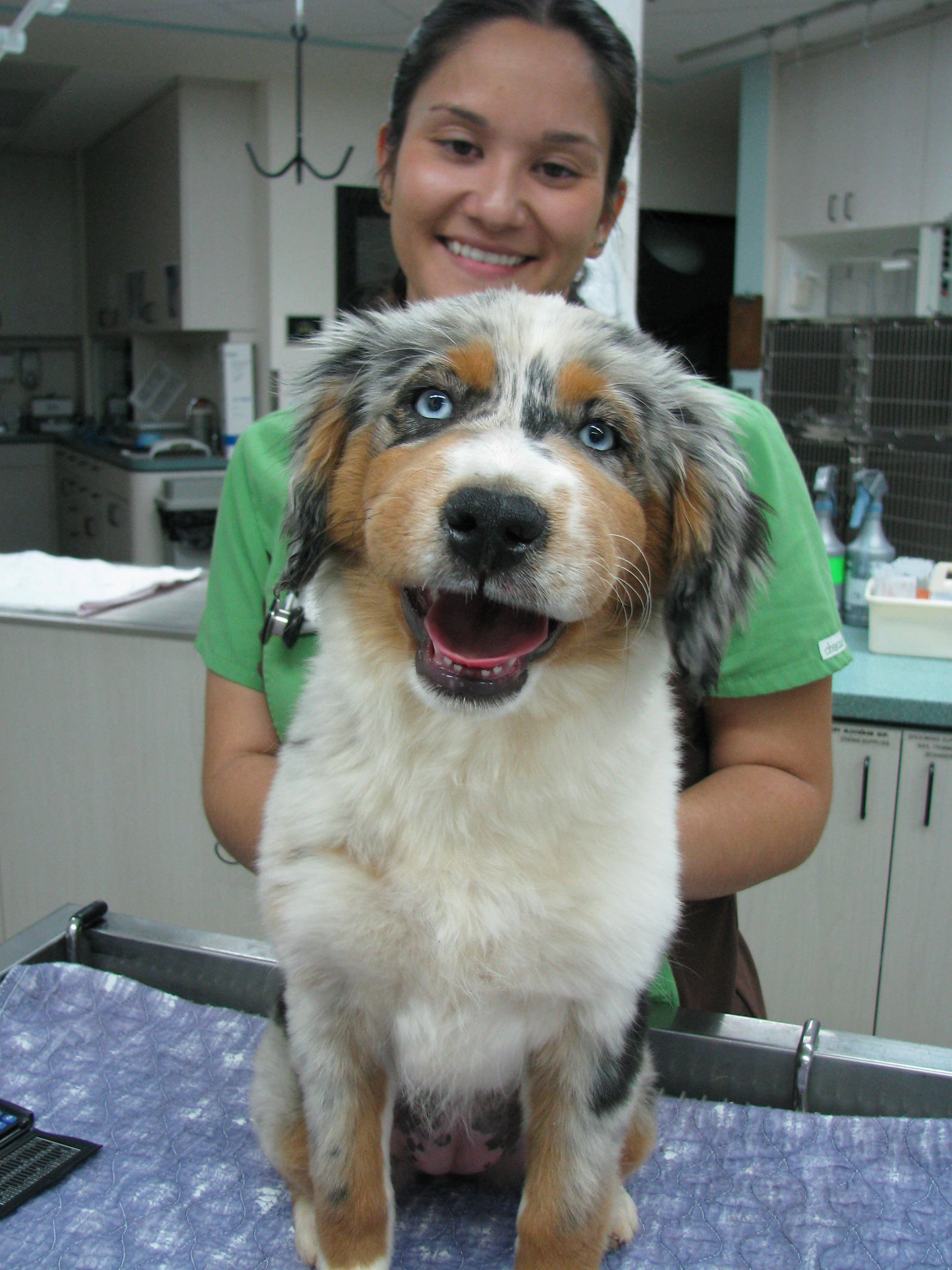 Animal Urgent Care nursing staff with a dog
