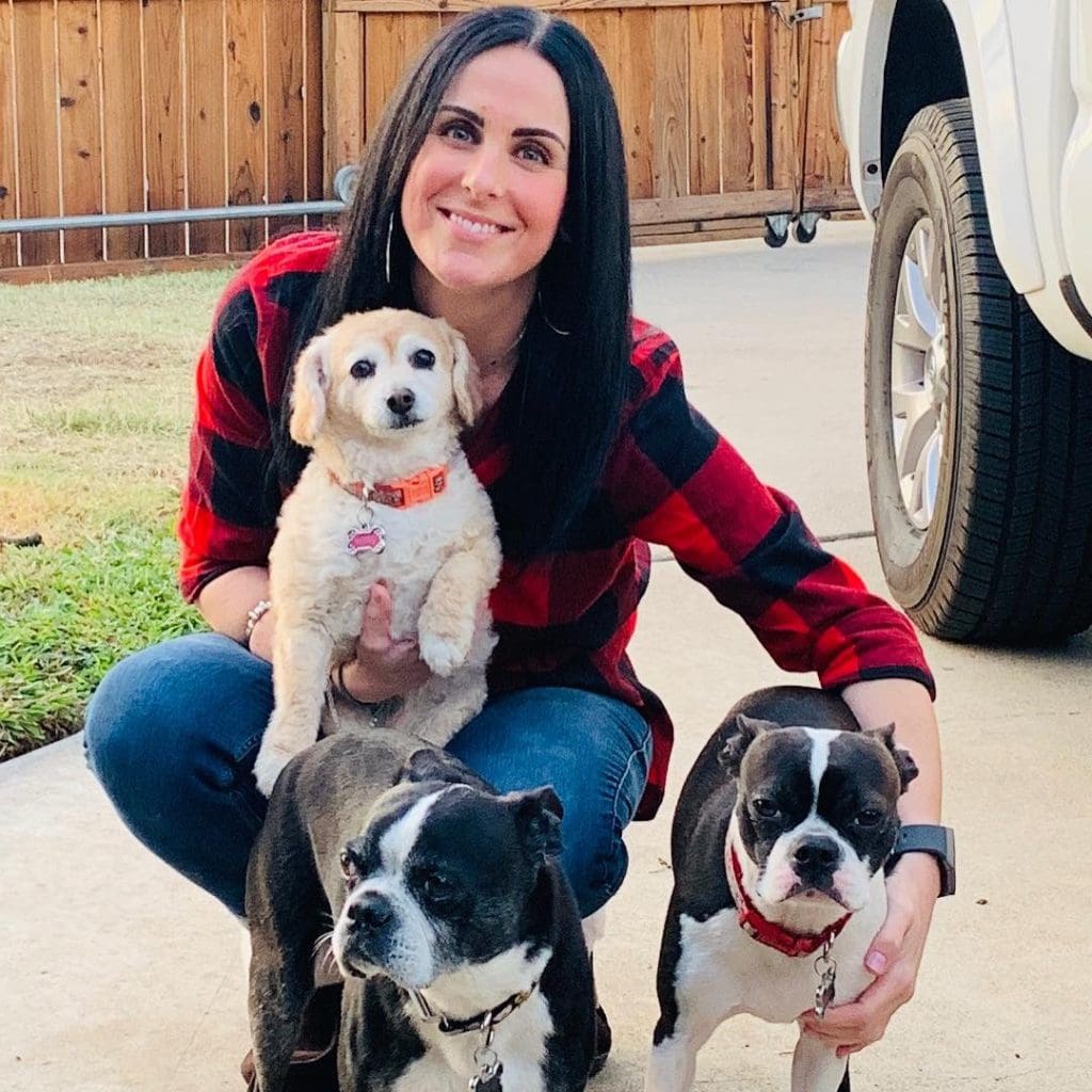 After Hours Vet in Escondido, CA Animal Urgent Care