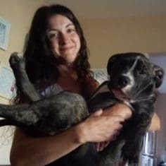 Animal Urgent Care nursing staff, Escondido, CA