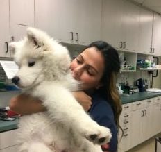 Animal Urgent Care nursing staff, Escondido, CA